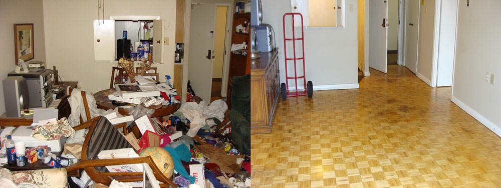 Hoarding Cleanout Our Cleanout Process: image