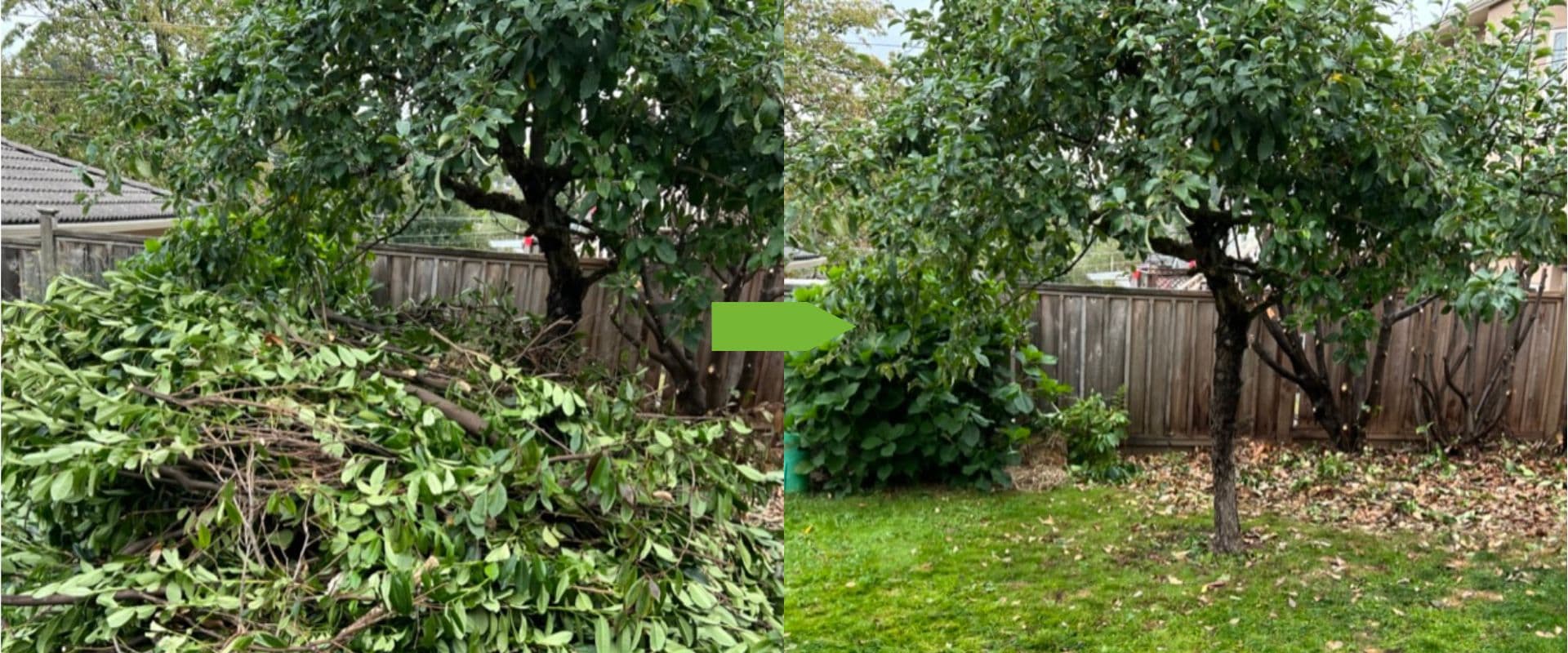 Yard Waste Removal Yard Waste Removal – Clear Your Outdoor Space Without Lifting a Finger image